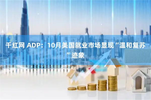 千红网 ADP：10月美国就业市场显现“温和复苏”迹象